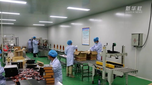 甘肃靖远药学博士引领苁蓉科研创新，助力农业科技发展