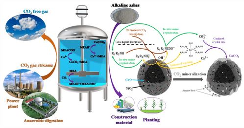 华中农大在农业科学研究与试验发展中取得多项新突破