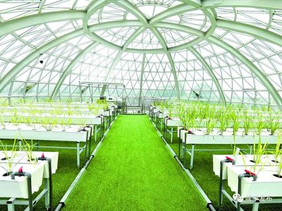 嘉鱼 培育农业“种子队” 做强“农业芯” 筑牢农业科技根基