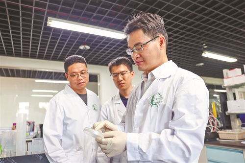 弘扬科学家精神，凝聚创新力量 农业科研与试验发展的时代使命