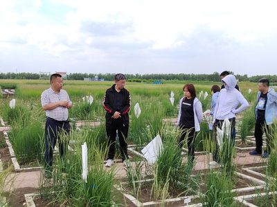 雄关漫道真如铁，而今迈步从头越——从事国家牧草产业技术体系干草调制贮藏岗位工作的感悟