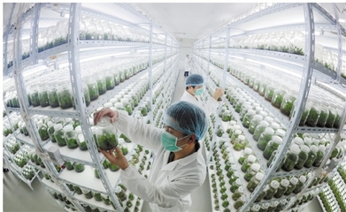 不忘初心 固本强基 台州开启农业科研驱动乡村振兴新征程