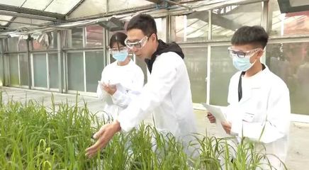 科技赋能乡村振兴 贵州大学重点实验室引领农业科学研究新篇章