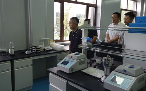 东北农业大学赴五常调研 科技创新赋能稻米加工产业，科技小院助力农业研究新篇章