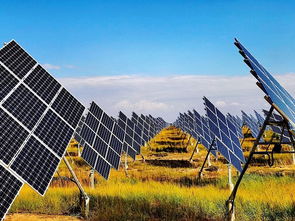 黄河上游水电开发与农业科研协同发展