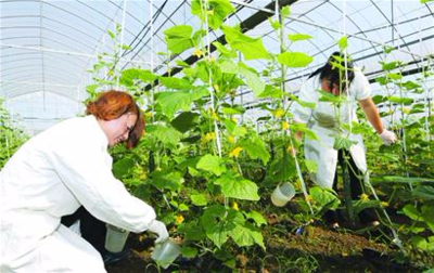 湖州率先出台农业品牌行动计划，推动农业科研与试验发展